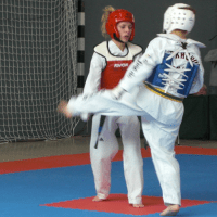 Bericht Header TKD - Taekwondo Youngsters beim Wettkampf Debuet erfolgreich