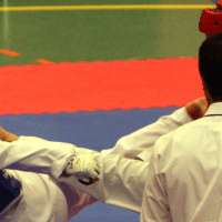 Bericht Header TKD - 5x Gold fuer ueberragende Taekwondo Kaempfer