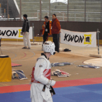 Bericht Header TKD - SSC Taekwondokas erkaempfen Silber und Bronze bei Berlin Open