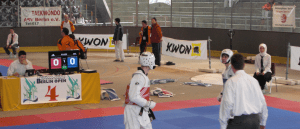 Bericht Header TKD - SSC Taekwondokas erkaempfen Silber und Bronze bei Berlin Open