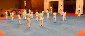 Bericht Header TKD - Neue Wettkampfmatten fuer sie Taekwondo Kaempfer