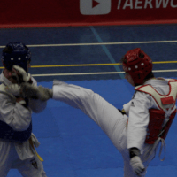 Gold für Luca Gocht und Alex Zlab beim Taekwondo-Event in Hannover