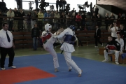 20130316-1te-ntu-kampfturnier-0011