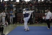 20130316-1te-ntu-kampfturnier-0029