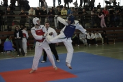 20130316-1te-ntu-kampfturnier-0031