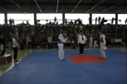 20130316-1te-ntu-kampfturnier-0081