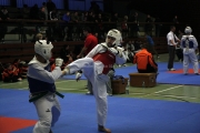 20130316-1te-ntu-kampfturnier-0115