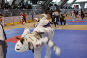 2012-05-05-berlin-open-0093