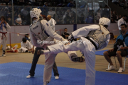 10. Internationale Berlin Open (2012)