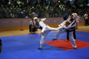 2012-05-05-berlin-open-0233