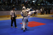 2012-05-05-berlin-open-0234