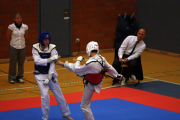 2. NTU Vollkontakt-Turnier 2010