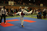 2. NTU Vollkontakt-Turnier 2013