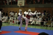 20130831-zweite-ntu-turnier-ssc02-0028
