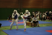 20130831-zweite-ntu-turnier-ssc02-0031