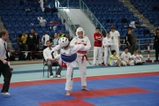 20121020-sachsen-anhalt-cup-0170