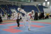21. Internationaler Sachsen-Anhalt Cup (2013)
