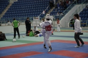 20131116-sachsen-anhalt-cup-0150