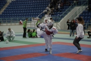 20131116-sachsen-anhalt-cup-0193