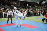 26. internationaler Park Pokal (2011)