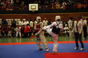 4. Nordic Open (2011)