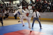 20110507_berlin_open-0006