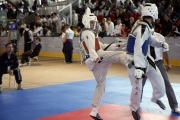 20110507_berlin_open-0012