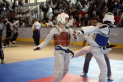20110507_berlin_open-0013