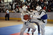 20110507_berlin_open-0015