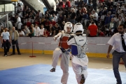 20110507_berlin_open-0019