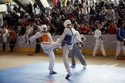 20110507_berlin_open-0128