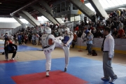 20110507_berlin_open-0144