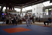 20110507_berlin_open-0263