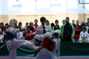20100327-offene-landesmeisterschaft-tusa-k215-015
