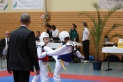 20100327-offene-landesmeisterschaft-tusa-k102-018