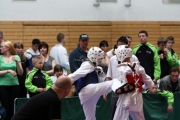 20100327-offene-landesmeisterschaft-tusa-k315-028