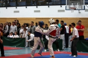 20100327-offene-landesmeisterschaft-tusa-k342-024
