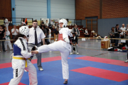 offener Hessen Cup 2011