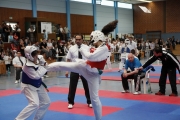 2011-04-02-offener-hessen-cup-salmuenster-015