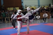 20130420-hessen-cup-0177