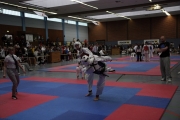 20130420-hessen-cup-0225