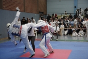 20150321-hessen-cup-0065