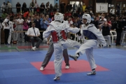 20150321-hessen-cup-0162